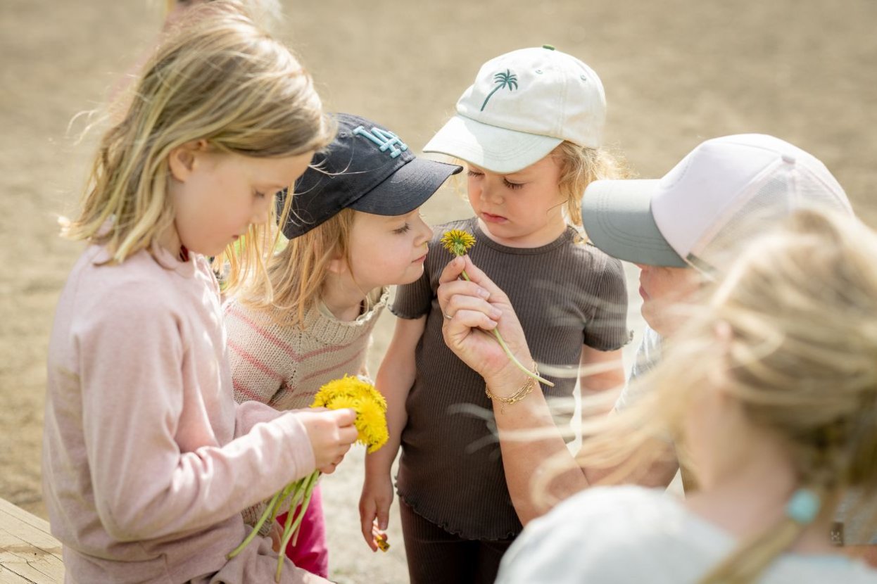 En gruppe barn og en voksen lukter på en blomst