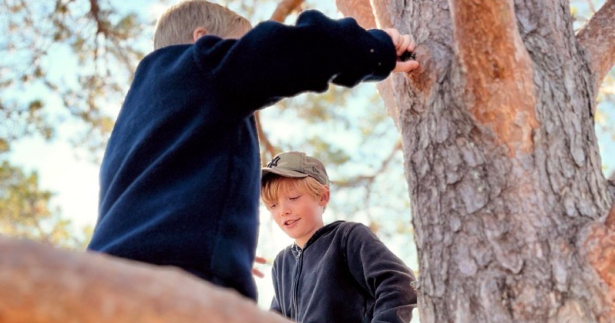 Barn Med Behov For Særskilt Tilrettelegging 30 Stp | MedLearn